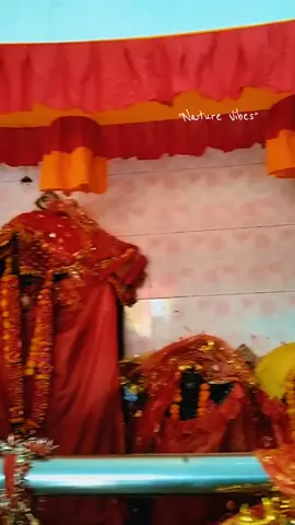 Nawami special 🙏🌺#nawaratri#diku❤️ #durgamaa #godblessyouall #goviral 