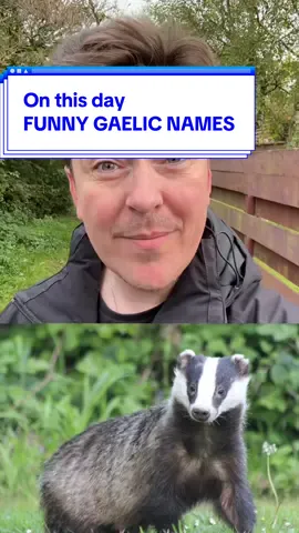 Gaelic has some fun names for normal animals! #Scotland #scottishculture  #gaelic #onthisday 