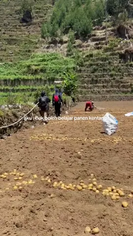 alibimu lo mas mas #pendakiindonesia  #pendaki  #fyp  #pendakifomo  #pendakigunung 