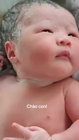 chào con yêu #xuhuong 