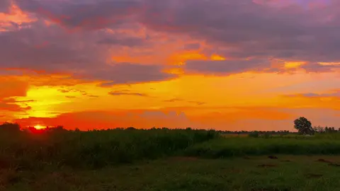 Phần 1 |”Chiều hoàng hôn trên quê em…#binhyen #mientay #tamtrang #xuhuong #chill 
