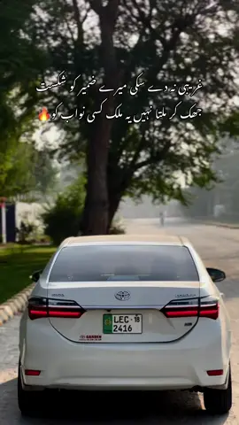 💯@MALIK_QAISAR #foryouu #malik_2416 #poetrystatus #500kviews✔️ #carlovers 
