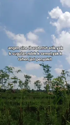 hadoh nyalak te#storywasasak #lombokvirall🌴🌴 #storylombok #sekedarkatakata #fypppppppppppppp 