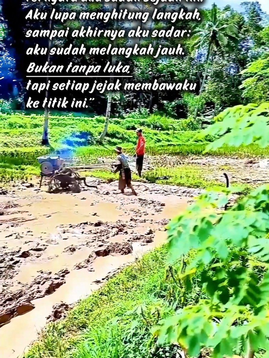 Wong Sukses Kudu Wani Obah #jangkauanluas #trending #fyp #katakatamotivasi #tiktok 