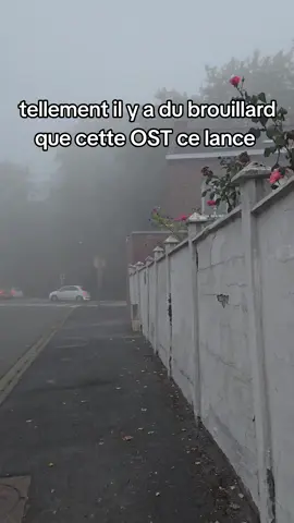 il est où l'arbre Mojo? #thelegendofzeldabreathofthewild #zelda #fyp #meme #foryou 