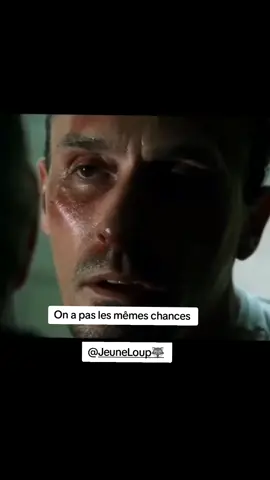 Pas répos pour un Loup 🐺