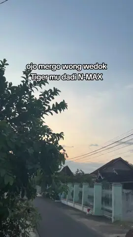 jan kacau, nek iso i dobel. nmax ndue tiger yo ndue🤣🤲🏻🙏🏻😘
