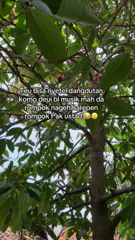 #fypシ゚viral 😂