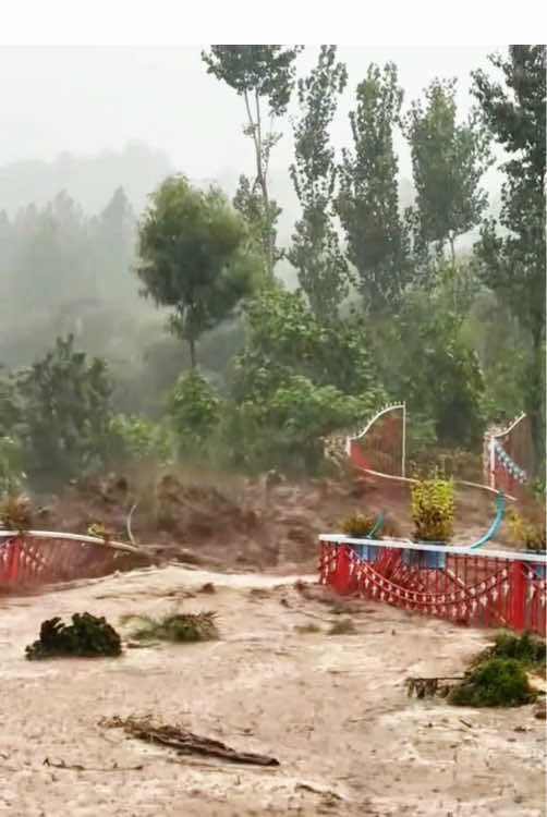#flashflood#flood#naturedisaster#badweather#scarymoments @Nature  @Nature  @Nature @oceanlife-fishing @YunPu 
