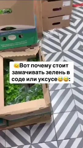 #иланфармер #ilanfarmer1 