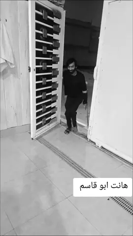 امجد الشغانبي _هانت _ابو قاسم 