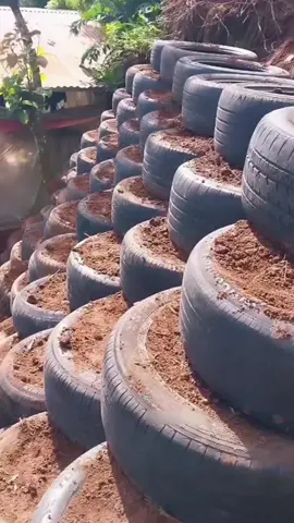 لهذا السبب لا تنهار المنازل الجبلية في تايلاند أبدًا🤯