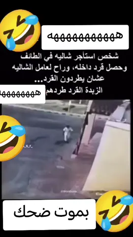 #هههههههههههههههههههههههههههههههههههههه #fyp #اكسبلورexplore #اكسبلور #😂 