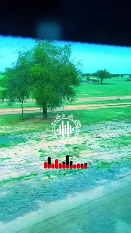 #مسيرية_حوازمة_رزيقات_تعايشة_بني_هلبة #كردفان_الغرة_السودان #الشعب_الصيني_ماله_حل😂😂 