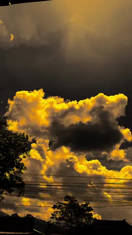 أقدر الله ولكن لنا الجهد والدعاء 