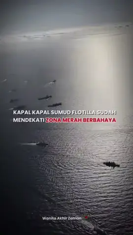 semoga Allah melindungi mereka 😭#globalsumudflotilla🇵🇸🥀❤️ #Freepalestina🇵🇸 #wanitaakhirzaman🤍✨ 