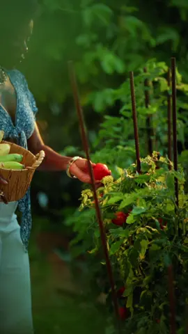 Rooted in nature styled by earth  #cinematicvideo #videographer #editor #aestheticvideos 