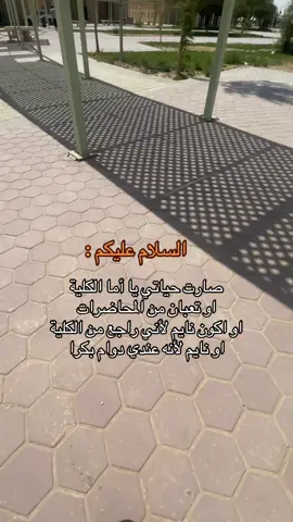 اوبسس😮‍💨💔#fyp #foryou #explore #viral #الكلية #الكلية_التقنية #الاحساء #غامبول💙💭 #حركة_الاكسبلور 