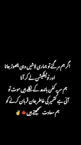 ہم مرگئے تو ہماری لاشیں وہی چھوڑ جانا اور نوٹیفکیشن لے کر آنا 🍁🍁✌✌✌ #29september #awamiactioncommittee #foryoupage #trending #unfrezzmyaccount @𝙊𝙬𝙖𝙞𝙎 𝘼𝙗𝙗𝙖𝙎𝙞 🍁🚩 @Kashmir Ala. 