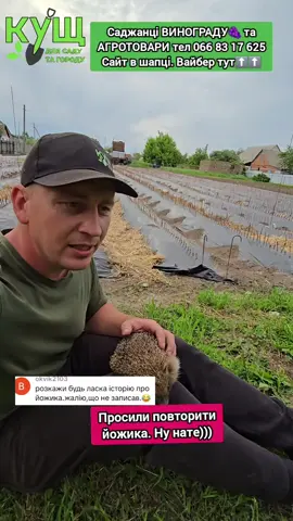Все просять ЙОЖИКА. Ну нате)))