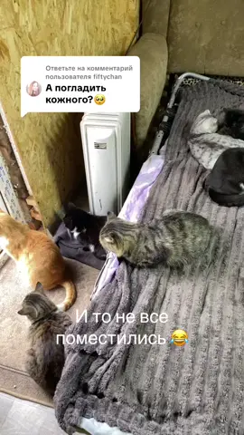 Ответ пользователю @fiftychan 🥰🥰🥰