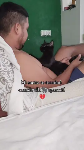 #misueñosetermino#cuandoella🐈‍⬛🐾aparecio 