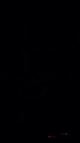 #CapCut 