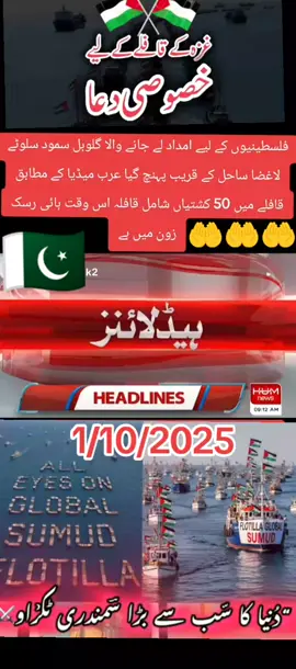 #💯💯💯💯💯♥️♥️♥️♥️♥️ #عمران_خان_زندہ_باد💯💖🌹 #freepalastine🇵🇸 