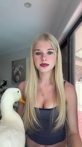 silly ducky #duck 