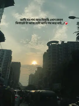 আমি সব শখ ছেড়ে দিয়েছি এখন কেবল সিগারেট টা আছে যেটা আমি শখ করে খাই...!❤️‍🩹#foryou #vairal #vairalvideo #tiktokbanladesh🇧🇩🇧🇩 