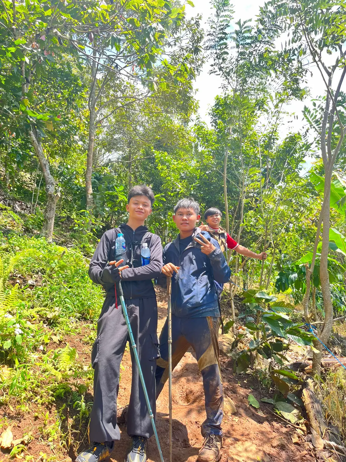 ketemu om pedd di trek pesawaran #omped_visual #pendakigunung #gunungpesawaran #pendakifomo #kabpesawaran @Omped Visual @Gunung Pesawaran 1662 MDPL 