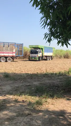 เงาตาแตก🤩#ทีเด็ดสตระกูลแสง🎋🚛💨 #ลูกชาวไร่ #โรงงานน้ําตาลพิษณุโลก #พิษณุโลก #ฟีดดดシ 