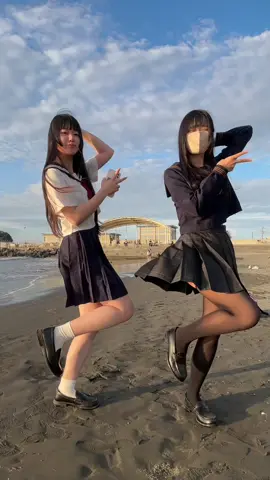 ちゃっかりうさぎとボス猫🐰🐱
