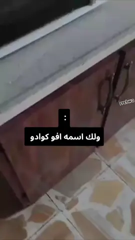 .  . . #العراق#ميمز #fyp #الشعب_الصيني_ماله_حل😂😂 