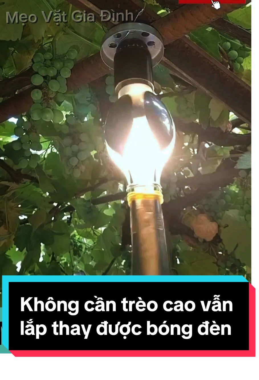 Cắt cây, lắp bóng đèn, phun sơn trên cao thật dễ dàng không phải leo trèo cao. #meohay #dodep #suachua #meovatgiadinh11 