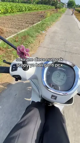 paus darat?🥵#pcxabs#scopy#pausdaratpcx #fyp #4u 