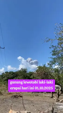 gunung lewotobi laki-laki di flores meletus lagi hari ini #gunung #lewotobi #ntt #nttpride #nttpride🏝🔥 #lewotobilakilaki #larantuka #larantuka_florestimur #flores #floresamarillas #erupsi #meletus #fyppppppppppppppppppppppp
