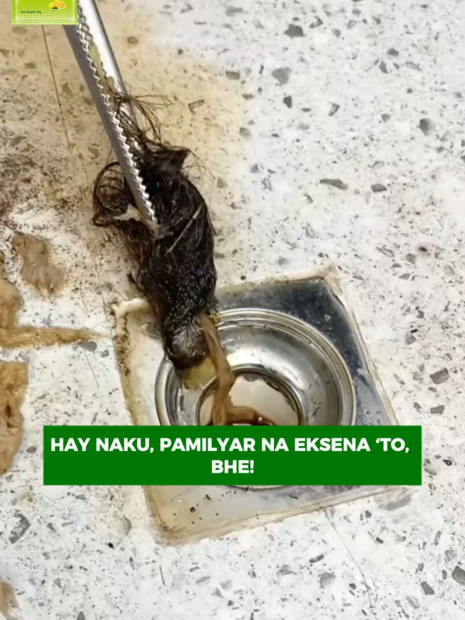 Mas Mura Pa sa Almusal, Pero Tunaw Lahat ng Bara!#draincleaner #draincleanerfoam #cloggeddrain #clevadraincleaner #drainflies
