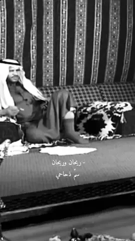 #عبدالله_بن_زويبن #explore #حرب 