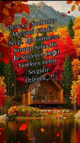 #tiktokkeşfett #fypシ゚ #hergünyenilenkesfet😇 #beniönecikart #keşfetteyiz 