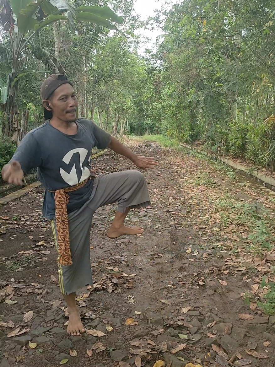 seng nyuwun nggeeh #tembangtresno #daplang #jaranan #fyp  @aniningsih36 