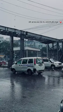 যদি অন্যের ব্যথা টের পাও তাহলেই তুমি মানুষ..!❤️‍🩹 #viral #video #grow #account #foryou 