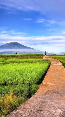 Ini salah tempat yg indah  di bukittinggi, tempatnya gratisan..!buat pengujung yg nokrong di sini tolong sampah jangan asal buang…! Tolong sama2 kita jaga tempat ini..🙏🙏🙏#fypage #fypngakni #fypminang #sumbar #gurunauakubangputiah 