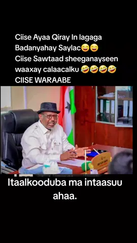 #maxamedcase🦁🔥 #awdal_borama #somalilandtiktok💚🤍❤ ##maxamedcase🦁🔥 #muqdishotiktok🇸🇴🇸🇴❤ 