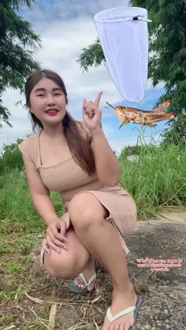 สมัยเป็นเด็กใครเคยไปจับตั๊กแตนด้วยไม้ยาวยาวแบบนี้บ้างบอกเลยว่าสนุกมากตอนนั้น 🦗🌾 #ย้อนวัยเด็ก #ความสุขในวัยเด็ก #มีมี่  #ทักทาย 🙆‍♀️☘️