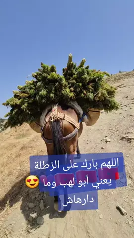 #♥🇲🇦 #المغرب🇲🇦 
