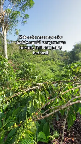 Sape pacak kunci surge komen #jemekebun #jemedusun_jemekite #kelakarjemekite🤣 #fyp #xcyzba 