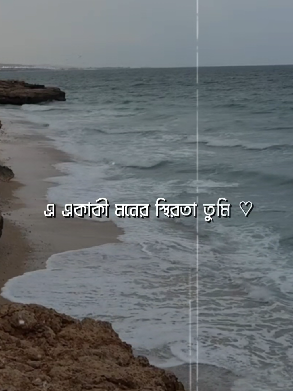 এ একাকী মনের স্থীরতা তুমি