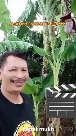 #guri omah#jian aden#pinggir sawah#pesona#fypシ゚ 