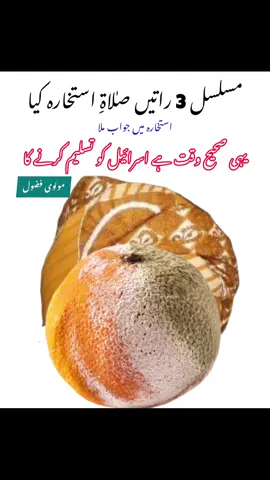 Performed Istikhara prayer for 3 consecutive nights. The answer was found in Istikhara: It is also the right time to recognize Israel. Maulvi fazool.#qaidi_804 #releaseimrankhan #ptiofficial #pti_zindabad #foryoupage 